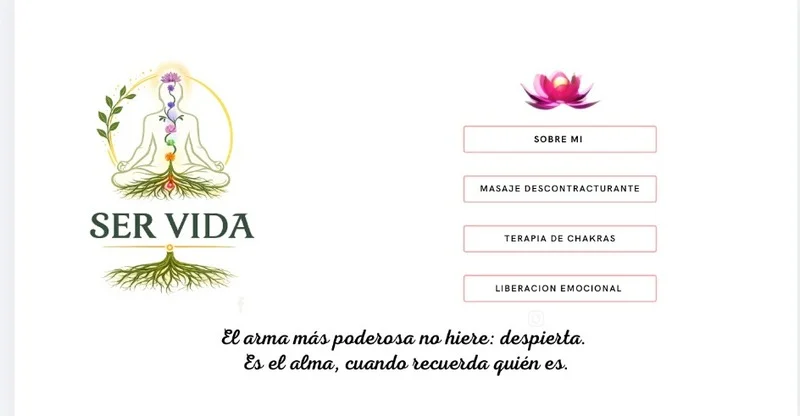 Original Ser Vida homepage design with its meditating figure and roots logo, four service navigation buttons, lotus, and Spanish mantra